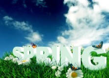 The First Day of Spring – Vernal Equinox Facts