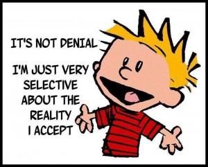 Calvin-Hobbes-Its-Not-Denial