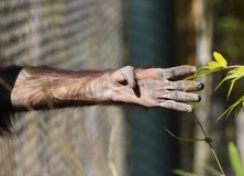 A Closer Look At The Lehigh Valley Zoo