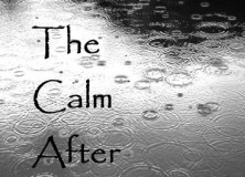 the-calm-after