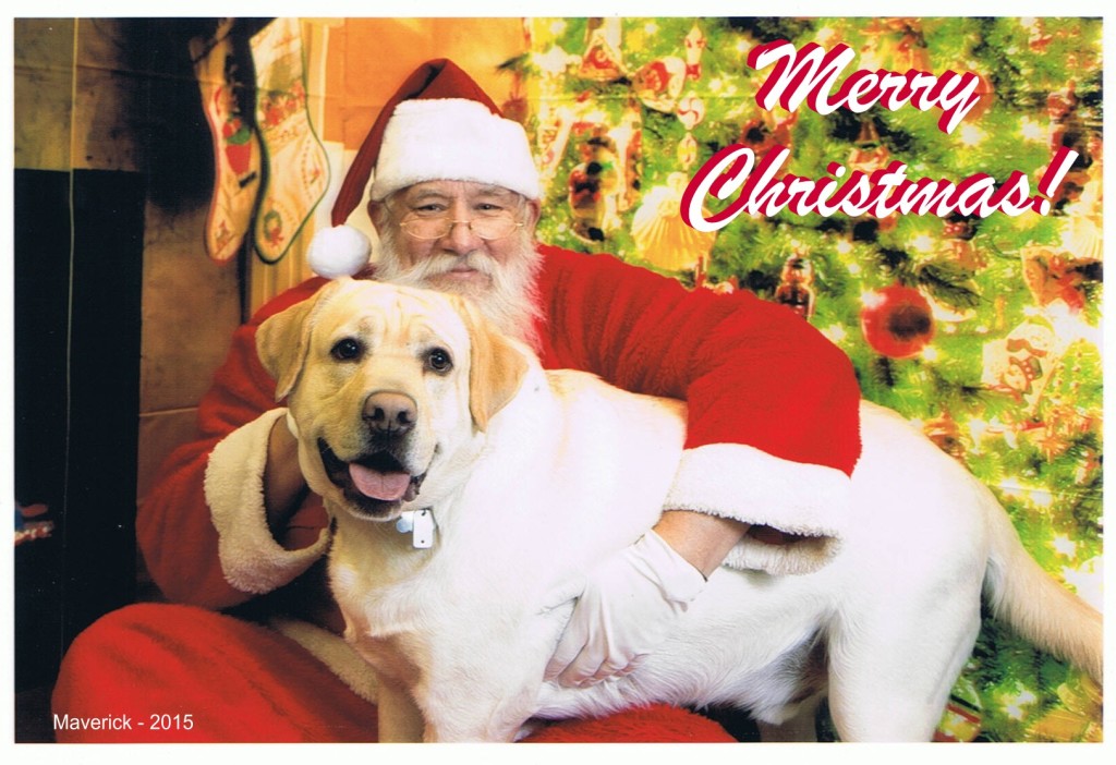 Maverick met Santa at Pet Supplies Plus