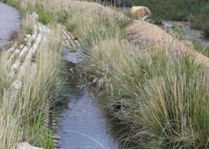 One example of a permeable swale.