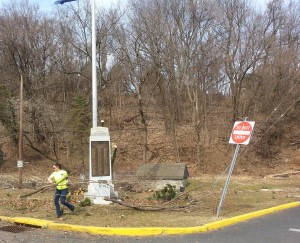 A worker clears debris following tree removal.