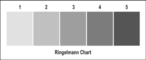 Ringelmann-Chart